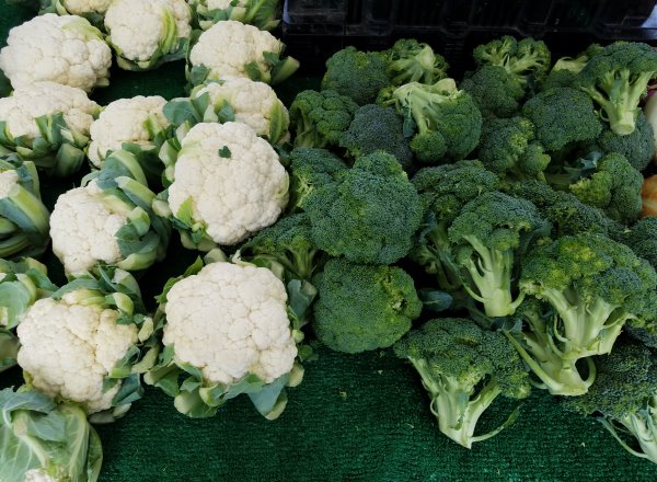 laguna beach farmers market