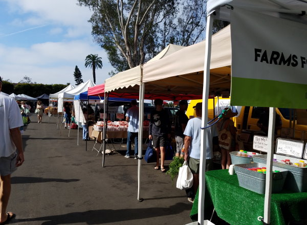 laguna beach farmers market